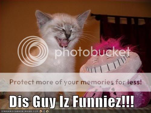 funny kitten pictures. funny-pictures-kitten-and-