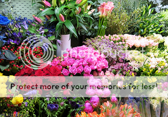 harrods flowers