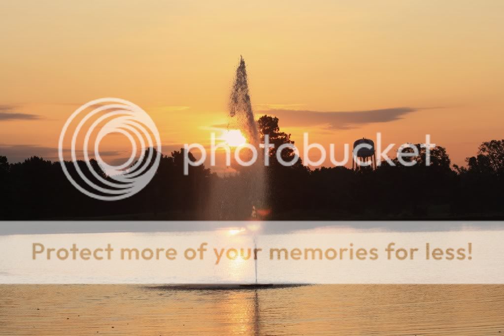 IMAGE: http://i412.photobucket.com/albums/pp203/ducklabdad/014.jpg