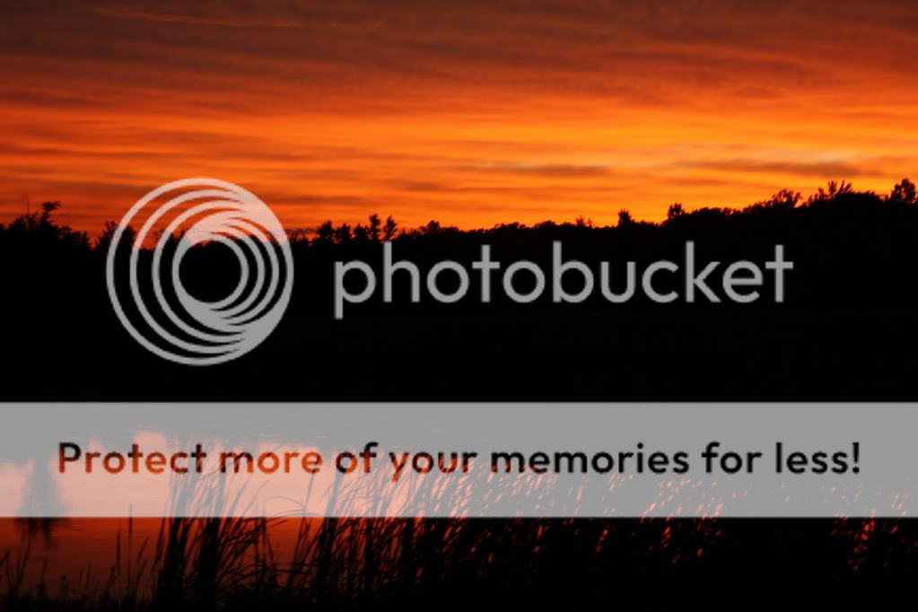 IMAGE: http://i412.photobucket.com/albums/pp203/ducklabdad/078-2.jpg