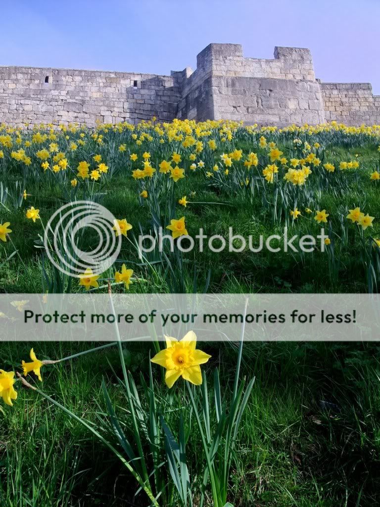 York in Spring