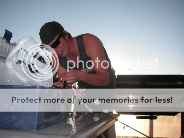 Posted Image