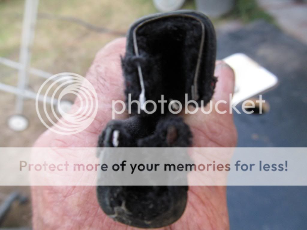 http://i412.photobucket.com/albums/pp208/lesbarlinauto/VW%20parts/IMG_2005.jpg