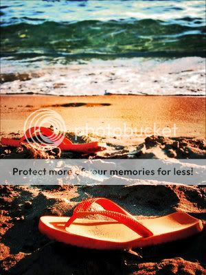 holiday____by_led3.jpg BEach image by hearts00pride