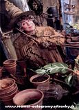  photo MiriamMargolyes.jpg