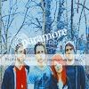 Paramore icon Pictures, Images and Photos