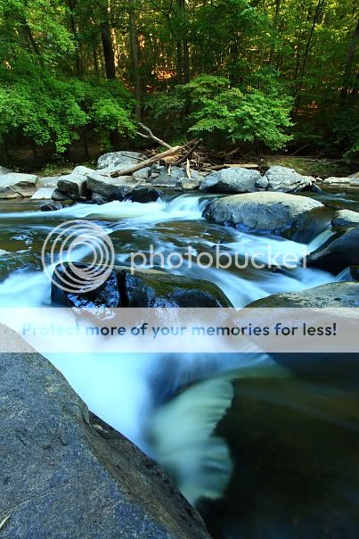 IMAGE: http://i412.photobucket.com/albums/pp210/papa1968/IMG_0246.jpg