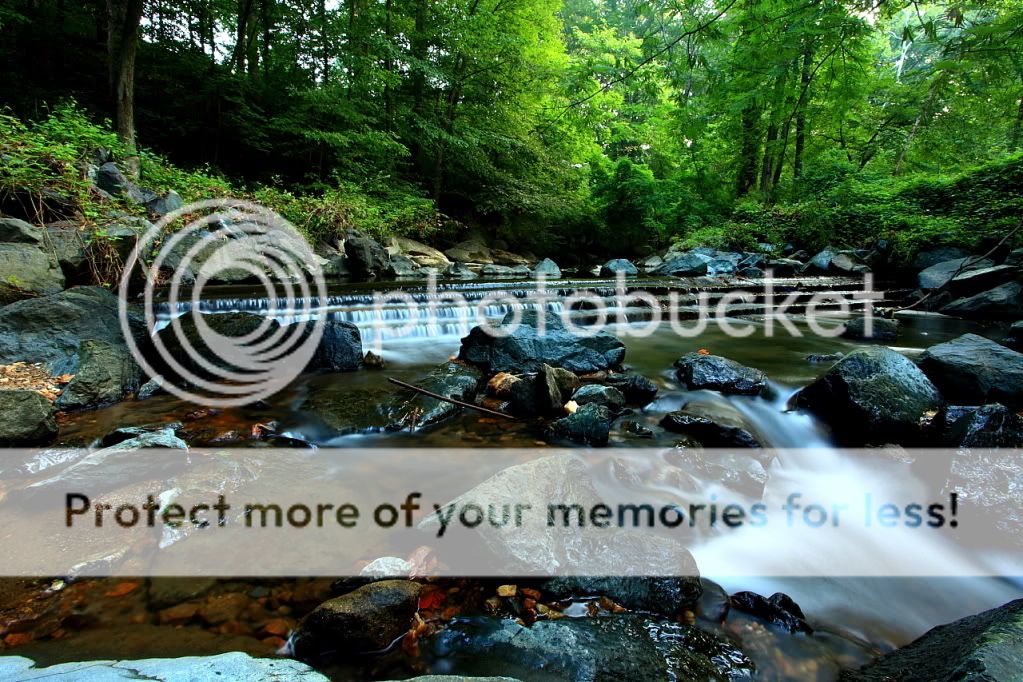 IMAGE: http://i412.photobucket.com/albums/pp210/papa1968/IMG_0277.jpg