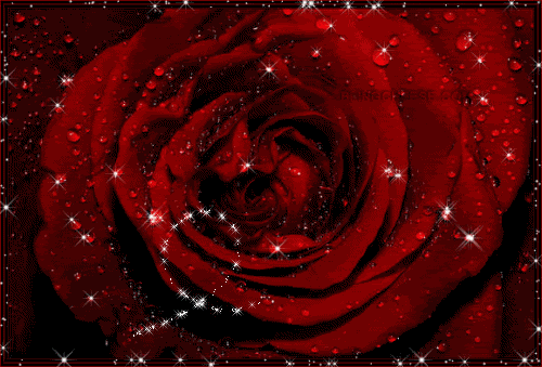 0_flowers_rose_glitter.gif