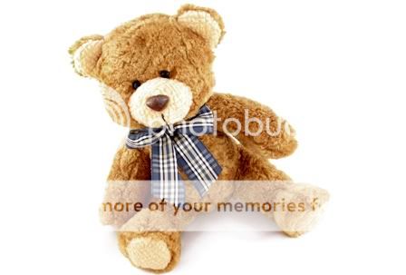 teddy-bear_dd_p.jpg