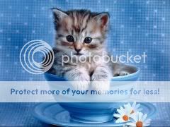 thumb_1pa_fluffykittens_2003_18_jpg.jpg